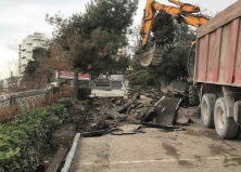 Продолжаем работы в Приморском парке